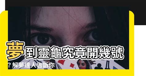 夢到ㄨ龜|【夢到ㄨ龜】夢到烏龜，財富長壽雙收！不同顏色烏龜，竟有不同。